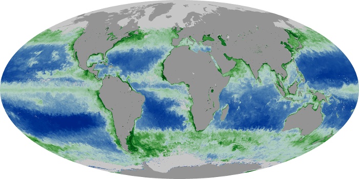 Global Map Chlorophyll Image 113