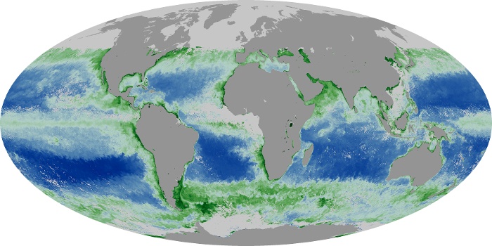 Global Map Chlorophyll Image 114