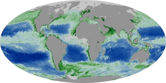 Global Map Chlorophyll Image 86