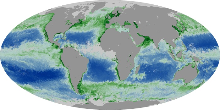 Global Map Chlorophyll Image 117