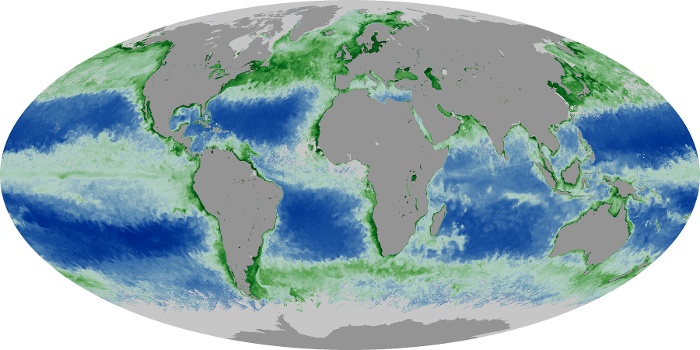 Global Map Chlorophyll Image 118