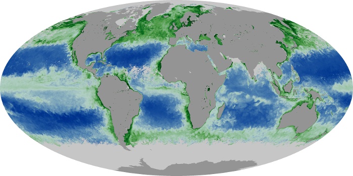 Global Map Chlorophyll Image 119