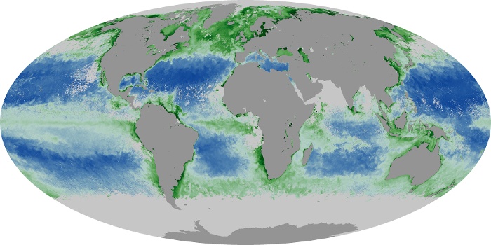 Global Map Chlorophyll Image 121