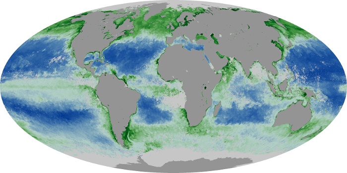 Global Map Chlorophyll Image 123
