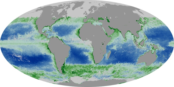Global Map Chlorophyll Image 126