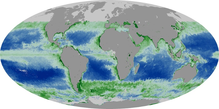 Global Map Chlorophyll Image 126