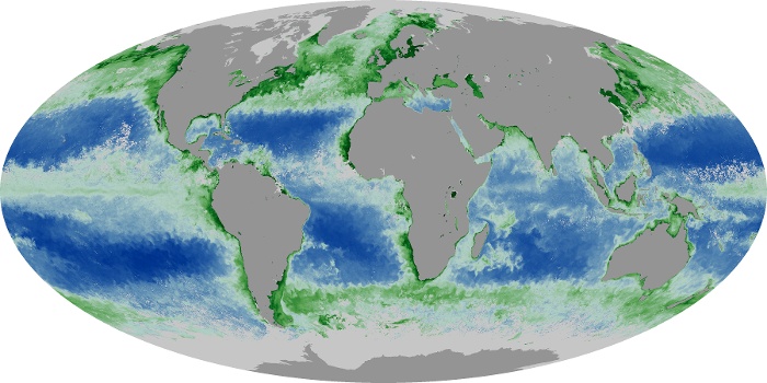 Global Map Chlorophyll Image 130
