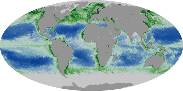 Global Map Chlorophyll Image 131