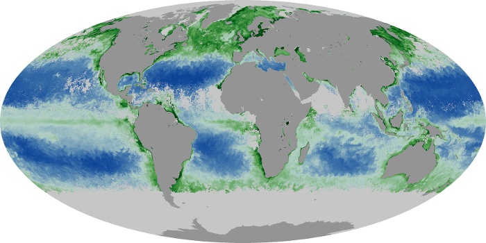 Global Map Chlorophyll Image 132