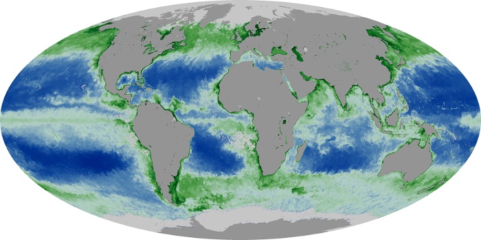 Global Map Chlorophyll Image 106