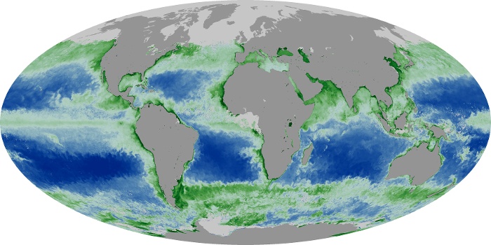 Global Map Chlorophyll Image 109