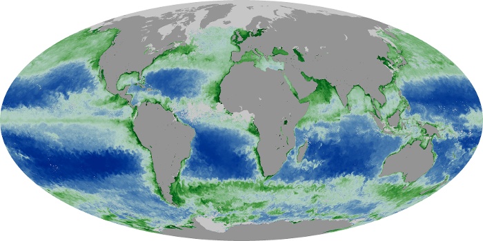 Global Map Chlorophyll Image 140