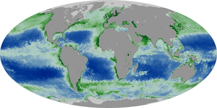 Global Map Chlorophyll Image 111