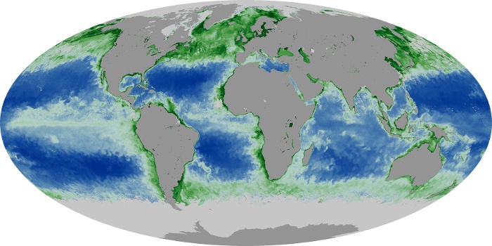 Global Map Chlorophyll Image 95