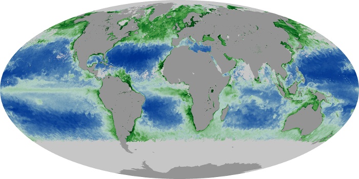 Global Map Chlorophyll Image 114