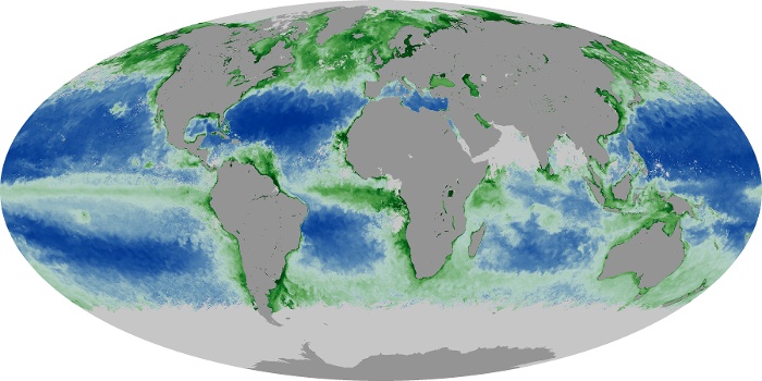 Global Map Chlorophyll Image 115