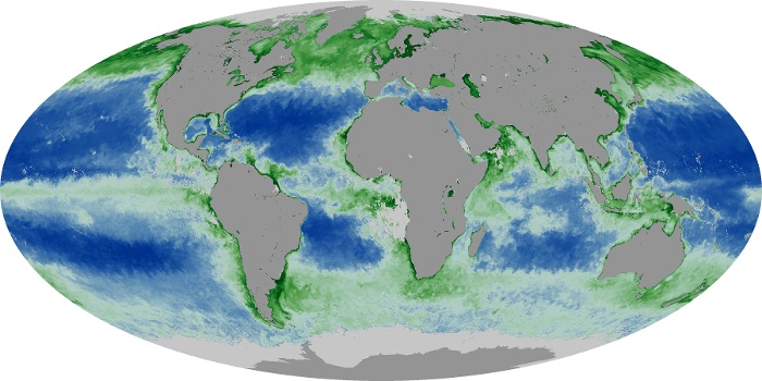 Global Map Chlorophyll Image 99