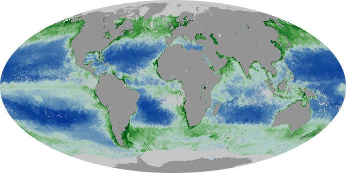 Global Map Chlorophyll Image 100
