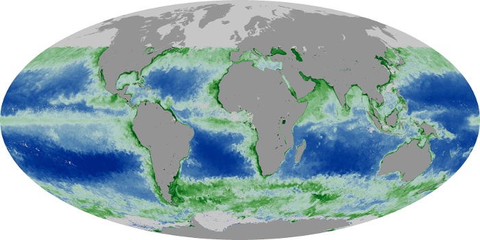 Global Map Chlorophyll Image 150