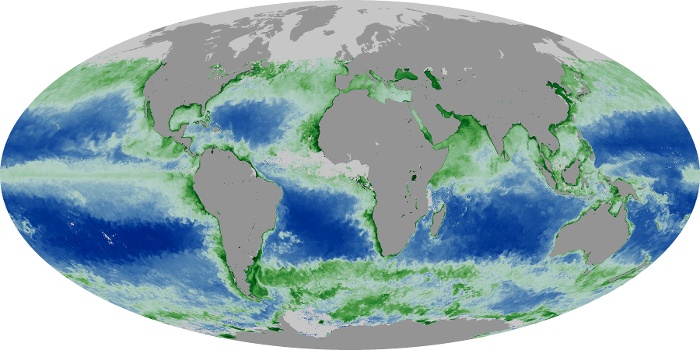 Global Map Chlorophyll Image 121