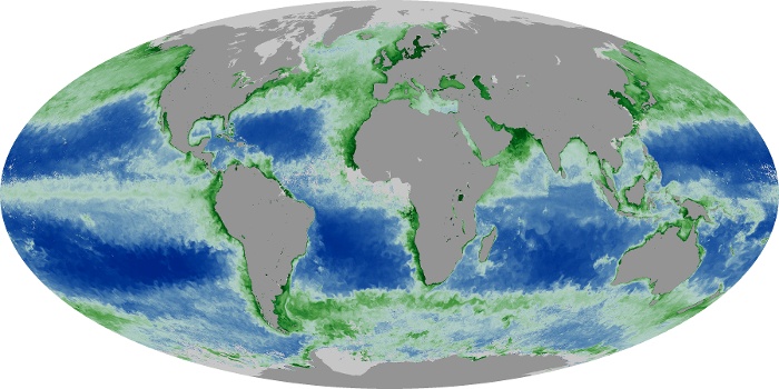 Global Map Chlorophyll Image 153