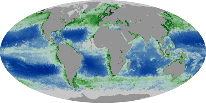 Global Map Chlorophyll Image 124