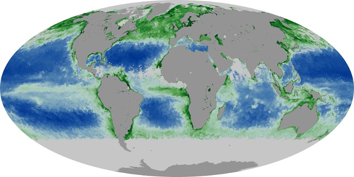 Global Map Chlorophyll Image 126