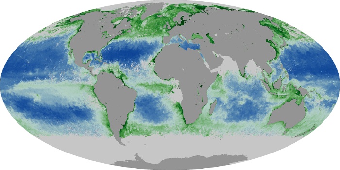 Global Map Chlorophyll Image 157