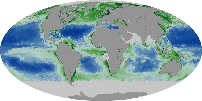 Global Map Chlorophyll Image 127