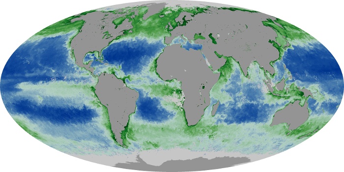 Global Map Chlorophyll Image 129