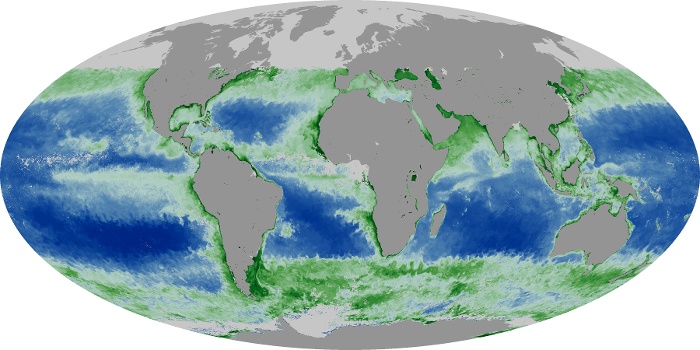 Global Map Chlorophyll Image 132