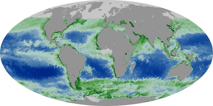 Global Map Chlorophyll Image 115