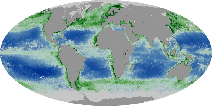 Global Map Chlorophyll Image 166