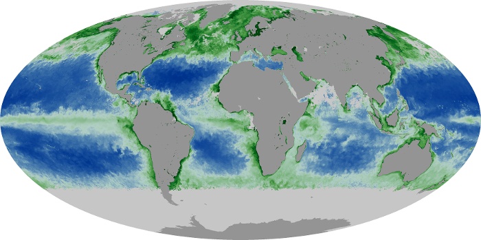 Global Map Chlorophyll Image 120