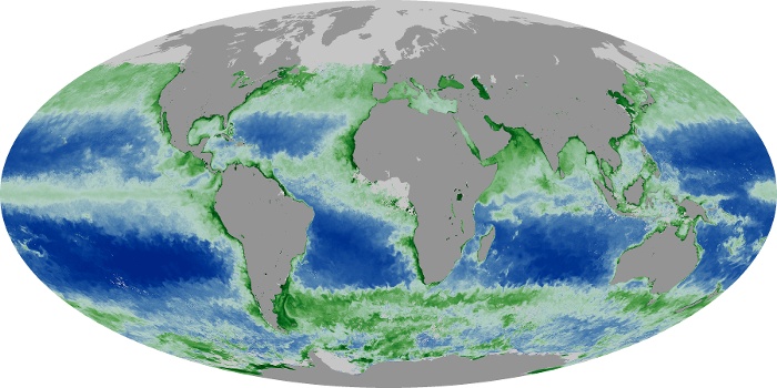 Global Map Chlorophyll Image 127