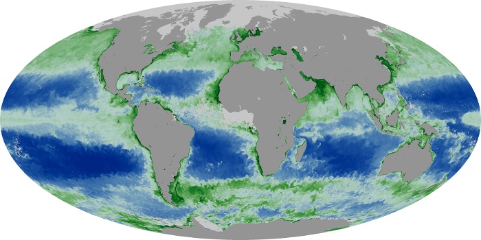 Global Map Chlorophyll Image 128