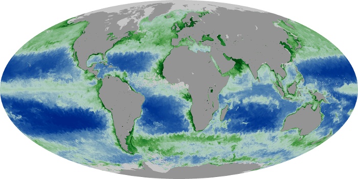 Global Map Chlorophyll Image 177