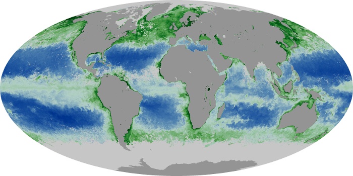 Global Map Chlorophyll Image 179