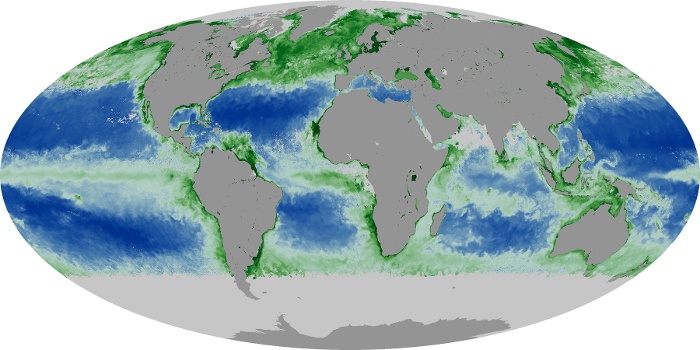 Global Map Chlorophyll Image 132