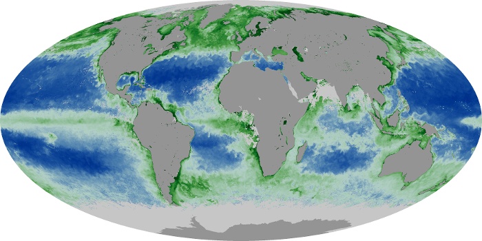 Global Map Chlorophyll Image 182