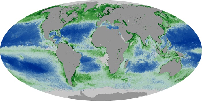 Global Map Chlorophyll Image 183