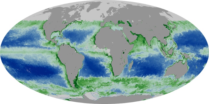 Global Map Chlorophyll Image 186