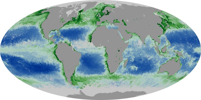 Global Map Chlorophyll Image 190