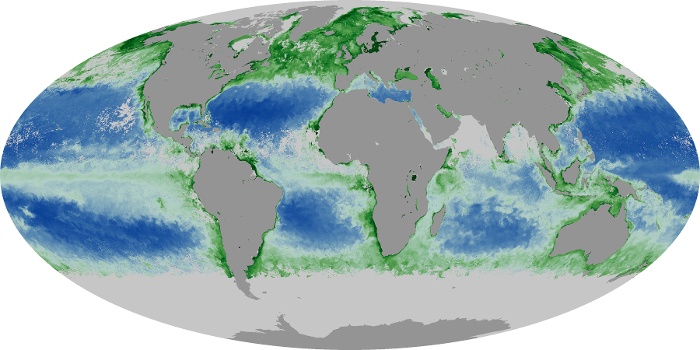 Global Map Chlorophyll Image 192