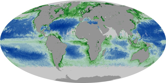 Global Map Chlorophyll Image 145