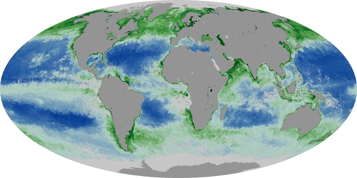 Global Map Chlorophyll Image 195