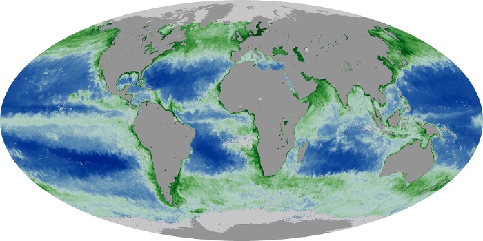 Global Map Chlorophyll Image 148