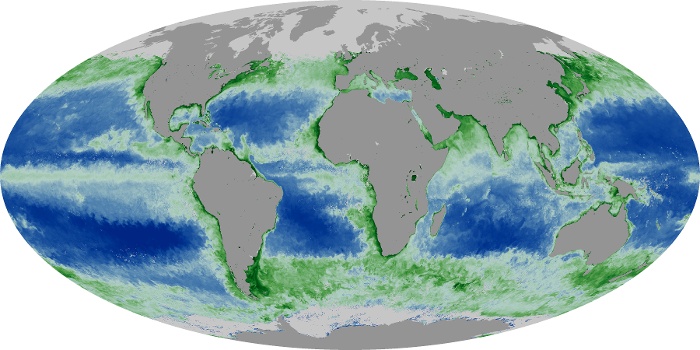 Global Map Chlorophyll Image 149