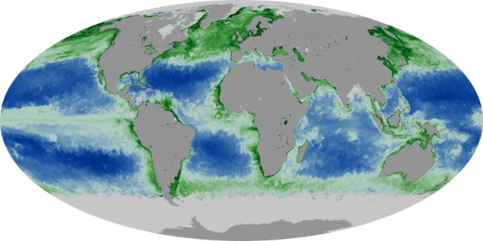 Global Map Chlorophyll Image 155