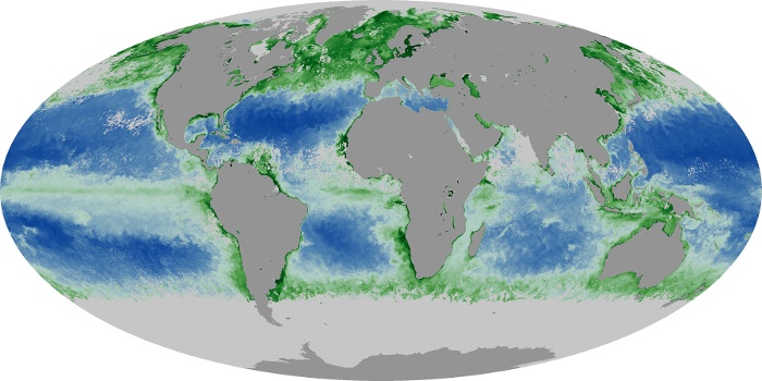 Global Map Chlorophyll Image 204